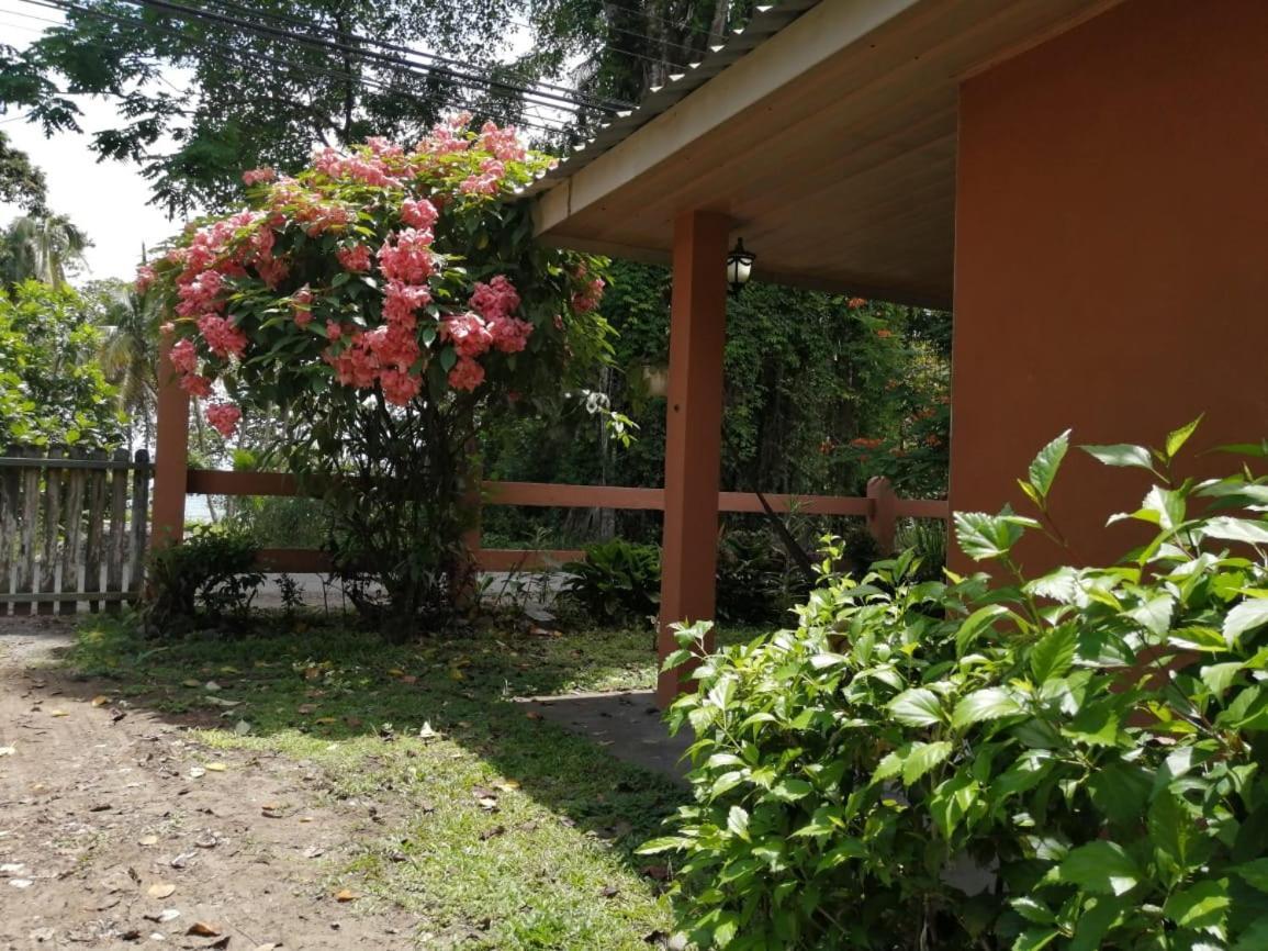 Cahuita Lodge Exterior foto